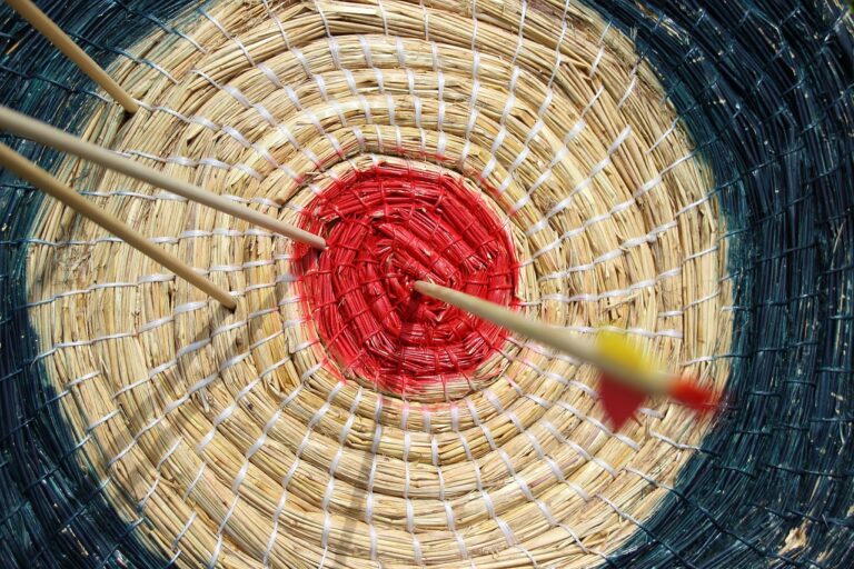 IPL and Sports Betting: Regulations and Ethical Concerns