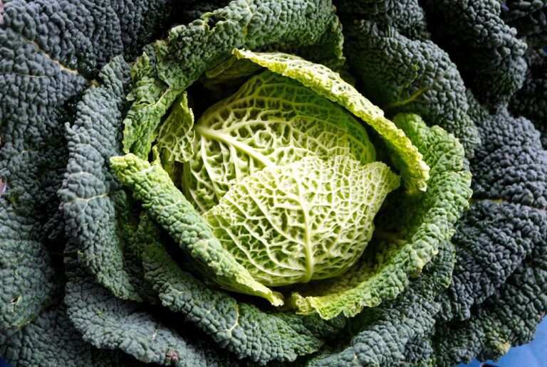The Importance of Traceability in the Grocery Supply Chain: 99 exch, Lesar 247.com, Yolo247 login