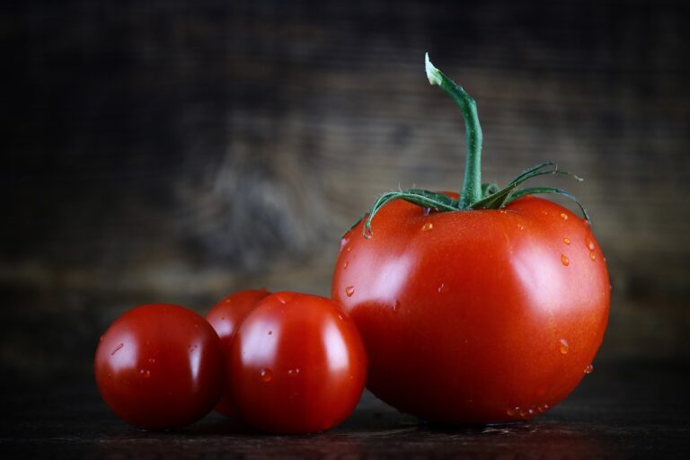 Fresh Produce Trends in Grocery Retail: 99 exchange, Laser247, World 777 betting